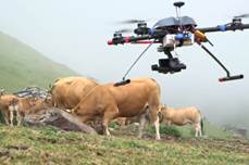 Resultado de imagen de drones ganaderia